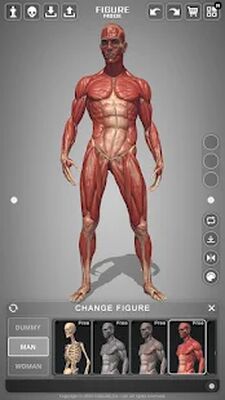 Download Action Anatomy Pro (Premium MOD) for Android