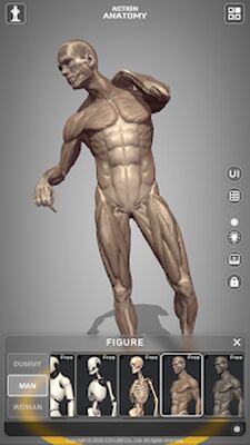 Download Action Anatomy (Pro Version MOD) for Android