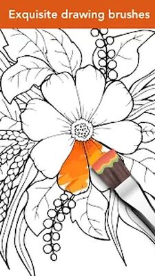 Download Colorfit: Drawing & Coloring (Premium MOD) for Android