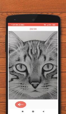 Download How to Draw Animals (Pro Version MOD) for Android