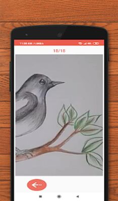 Download How to Draw Animals (Pro Version MOD) for Android