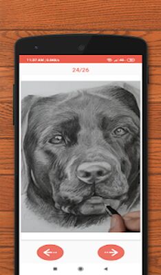 Download How to Draw Animals (Pro Version MOD) for Android