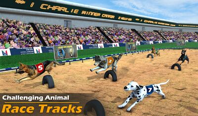 Download Racing Dog Simulator: Crazy Dog Racing Games (Pro Version MOD) for Android