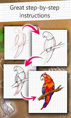 Download How to Draw (Premium MOD) for Android