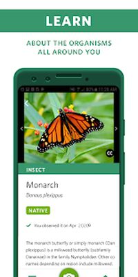 Download Seek by iNaturalist (Pro Version MOD) for Android
