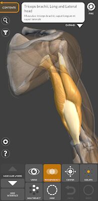 Download 3D Anatomy for the Artist (Premium MOD) for Android
