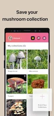 Download Picture Mushroom (Unlocked MOD) for Android