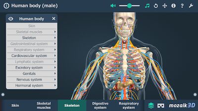 Download Human body (male) educational VR 3D (Free Ad MOD) for Android