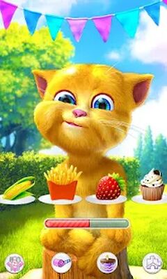 Download Talking Ginger 2 (Pro Version MOD) for Android