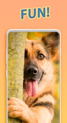 Download iDog: Dog Translator (Pro Version MOD) for Android