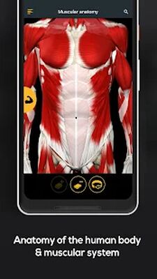 Download Anatomy by Muscle & Motion (Premium MOD) for Android