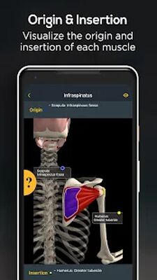 Download Anatomy by Muscle & Motion (Premium MOD) for Android
