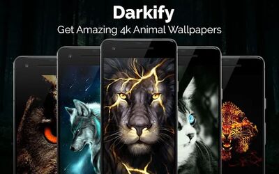 Download Black Wallpaper, AMOLED, Dark Background: Darkify (Pro Version MOD) for Android