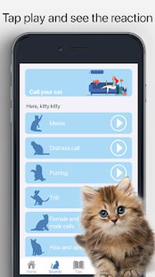 Download Meow (Free Ad MOD) for Android