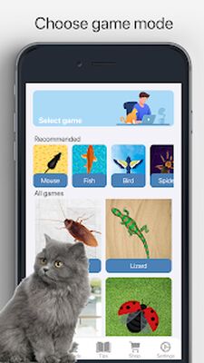 Download Meow (Free Ad MOD) for Android