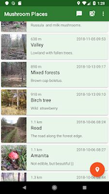 Download Forest Navigator Lite (Free Ad MOD) for Android
