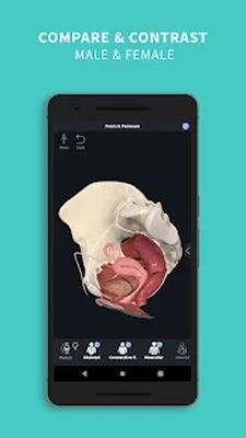 Download Complete Anatomy 2022 (Pro Version MOD) for Android