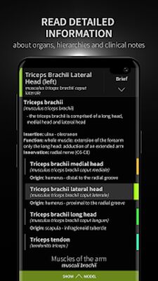 Download Anatomyka (Premium MOD) for Android