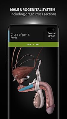 Download Anatomyka (Premium MOD) for Android