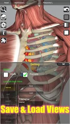 Download 3D Bones and Organs (Anatomy) (Pro Version MOD) for Android