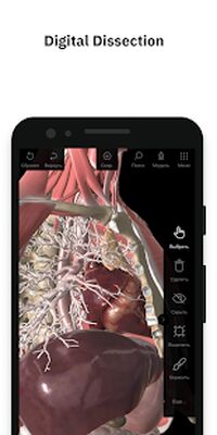 Download Pirogov Anatomy (Premium MOD) for Android