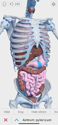 Download Visual Anatomy 3D (Unlocked MOD) for Android
