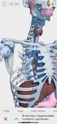 Download Visual Anatomy 3D (Unlocked MOD) for Android