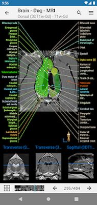 Download vet-Anatomy (Premium MOD) for Android