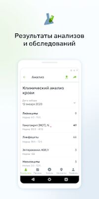 Download Скандинавия (Premium MOD) for Android