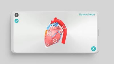 Download Anatomy 3D (Premium MOD) for Android