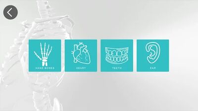 Download Anatomy 3D (Premium MOD) for Android