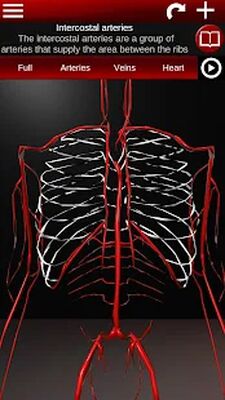 Download Circulatory System in 3D (Anatomy) (Premium MOD) for Android