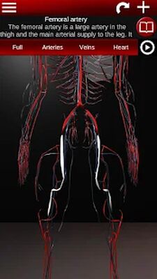 Download Circulatory System in 3D (Anatomy) (Premium MOD) for Android
