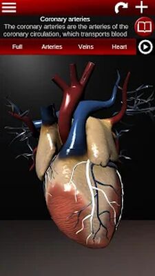 Download Circulatory System in 3D (Anatomy) (Premium MOD) for Android