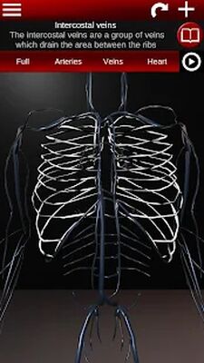 Download Circulatory System in 3D (Anatomy) (Premium MOD) for Android