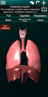 Download Internal Organs in 3D (Anatomy) (Premium MOD) for Android