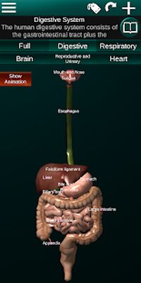 Download Internal Organs in 3D (Anatomy) (Premium MOD) for Android