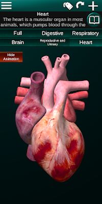Download Internal Organs in 3D (Anatomy) (Premium MOD) for Android
