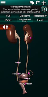 Download Internal Organs in 3D (Anatomy) (Premium MOD) for Android