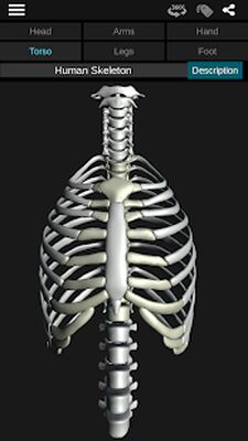 Download Osseous System in 3D (Anatomy) (Premium MOD) for Android