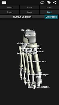 Download Osseous System in 3D (Anatomy) (Premium MOD) for Android