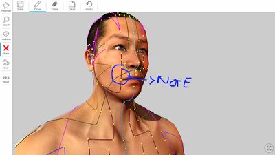 Download Visual Acupuncture 3D (Premium MOD) for Android