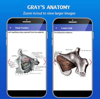 Download Gray's Anatomy (Premium MOD) for Android