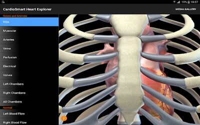 Download CardioSmart Heart Explorer (Pro Version MOD) for Android