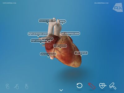 Download Heart Explore 3D (Unlocked MOD) for Android