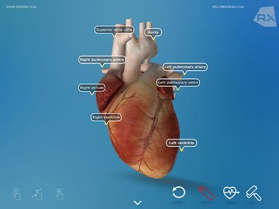 Download Heart Explore 3D (Unlocked MOD) for Android