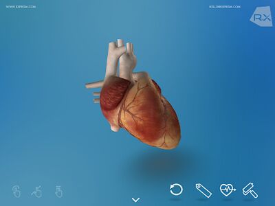 Download Heart Explore 3D (Unlocked MOD) for Android