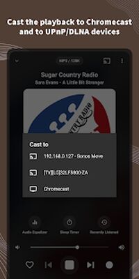 Download VRadio (Premium MOD) for Android