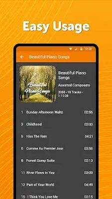 Download Simple Music Player: Play MP3 (Premium MOD) for Android
