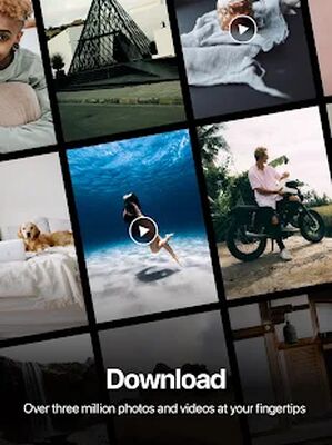 Download Pexels: HD+ videos & photos download for free (Premium MOD) for Android